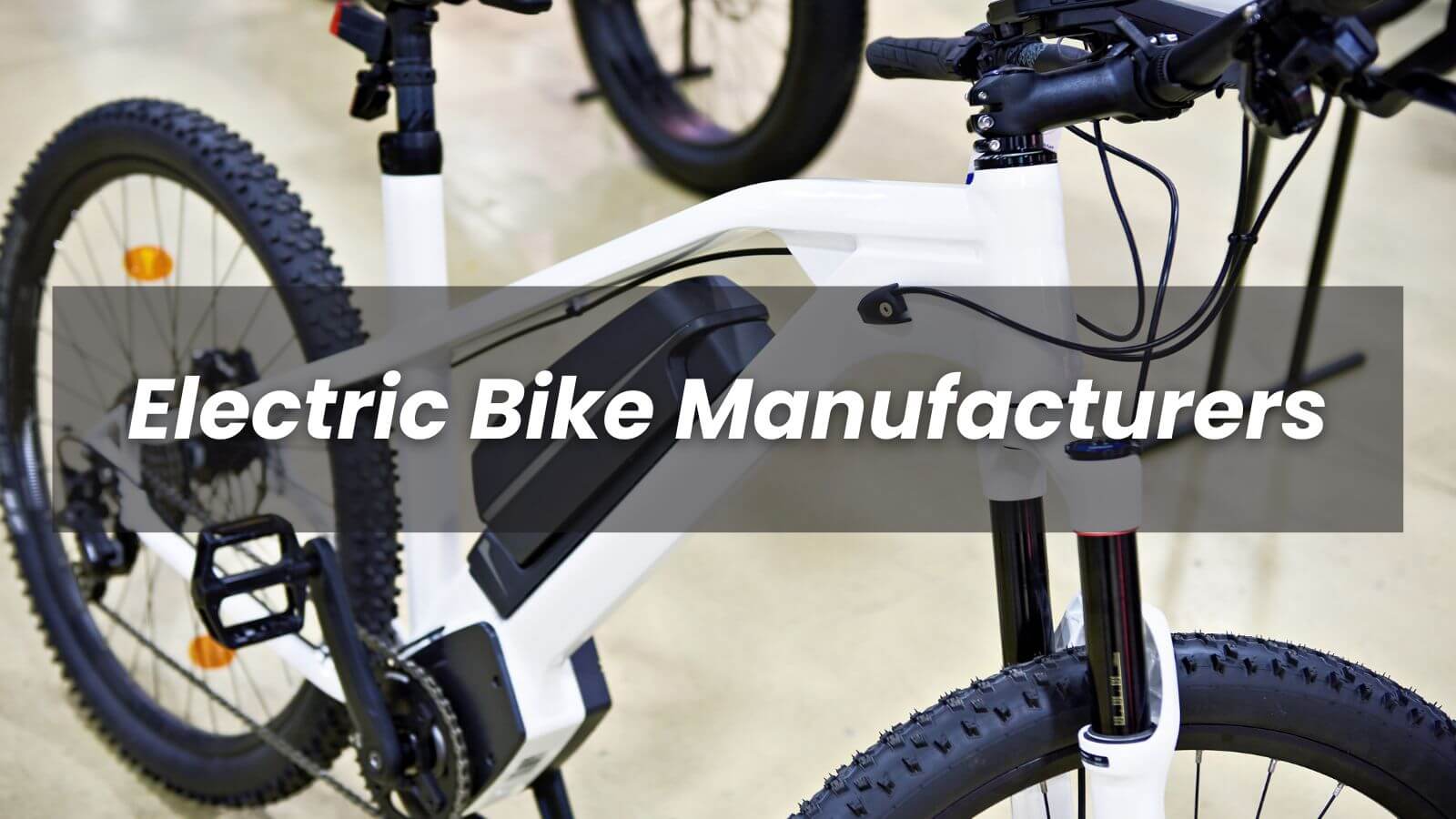 Electric Bike Manufacturers in Pune Leebike Electric Bike